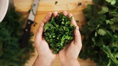 garnishing-instructions-image